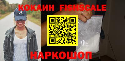 твердый Гатчина