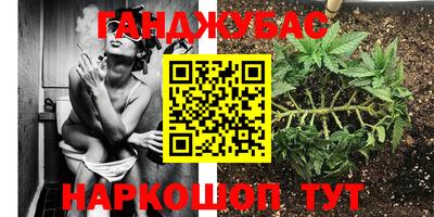 дживик Гагарин