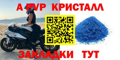 твердый Гатчина
